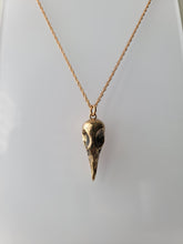 Load image into Gallery viewer, Greater Coucal Skull Necklace