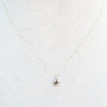 Load image into Gallery viewer, Tiny Star Necklace