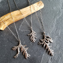 Load image into Gallery viewer, Large Evergreen Sprig Necklace