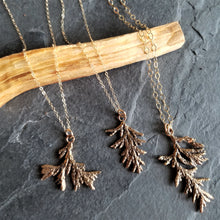 Load image into Gallery viewer, Evergreen Splayed Sprig Necklace