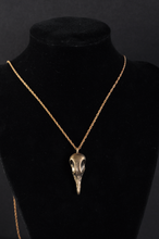 Load image into Gallery viewer, Greater Coucal Skull Necklace