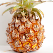 Load image into Gallery viewer, Tiny Pineapple Necklace
