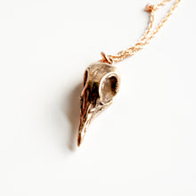 Load image into Gallery viewer, Greater Coucal Skull Necklace