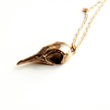 Load image into Gallery viewer, Greater Coucal Skull Necklace
