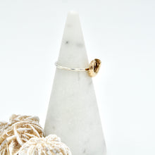 Load image into Gallery viewer, Nautilus Ring