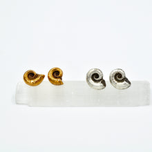 Load image into Gallery viewer, Nautilus Studs