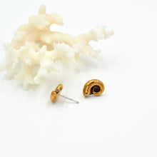 Load image into Gallery viewer, Nautilus Studs