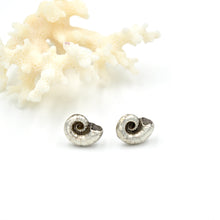 Load image into Gallery viewer, Nautilus Studs