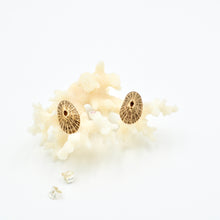 Load image into Gallery viewer, Shell Stud Earrings