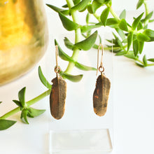 Load image into Gallery viewer, Tiny Feather Earrings