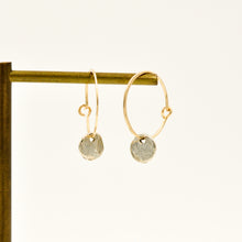 Load image into Gallery viewer, Hoop Earrings With Disc