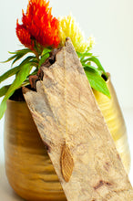 Load image into Gallery viewer, Large Cicada Wing Necklace