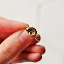 Load image into Gallery viewer, Nautilus Ring