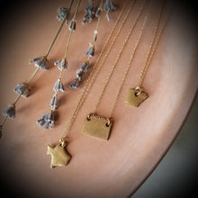 Load image into Gallery viewer, State of Texas Necklace