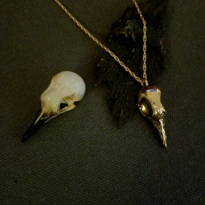 Greater Coucal Skull Necklace