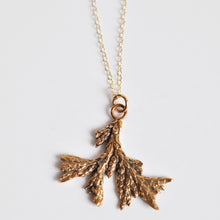 Load image into Gallery viewer, Evergreen Splayed Sprig Necklace