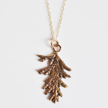Load image into Gallery viewer, Evergreen Sprig Necklace