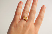 Load image into Gallery viewer, Texas State Pride Ring