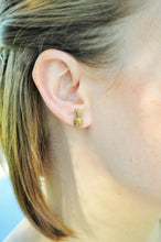 Load image into Gallery viewer, Pineapple Studs