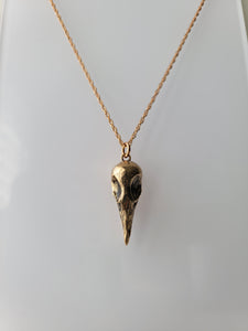 Greater Coucal Skull Necklace