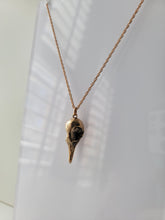 Load image into Gallery viewer, Greater Coucal Skull Necklace
