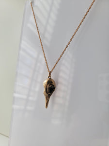 Greater Coucal Skull Necklace