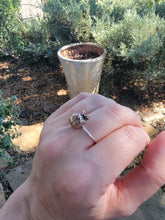 Load image into Gallery viewer, Pumpkin Ring
