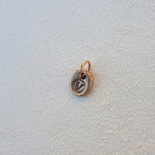 Load image into Gallery viewer, Bronze Initial Charm

