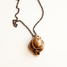 Load image into Gallery viewer, Yucca Seed Pod Necklace

