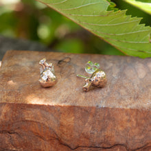 Load image into Gallery viewer, Tiny Acorn Studs

