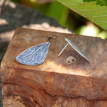 Load image into Gallery viewer, Cicada Wing Studs
