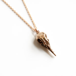 Greater Coucal Skull Necklace