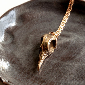 Greater Coucal Skull Necklace