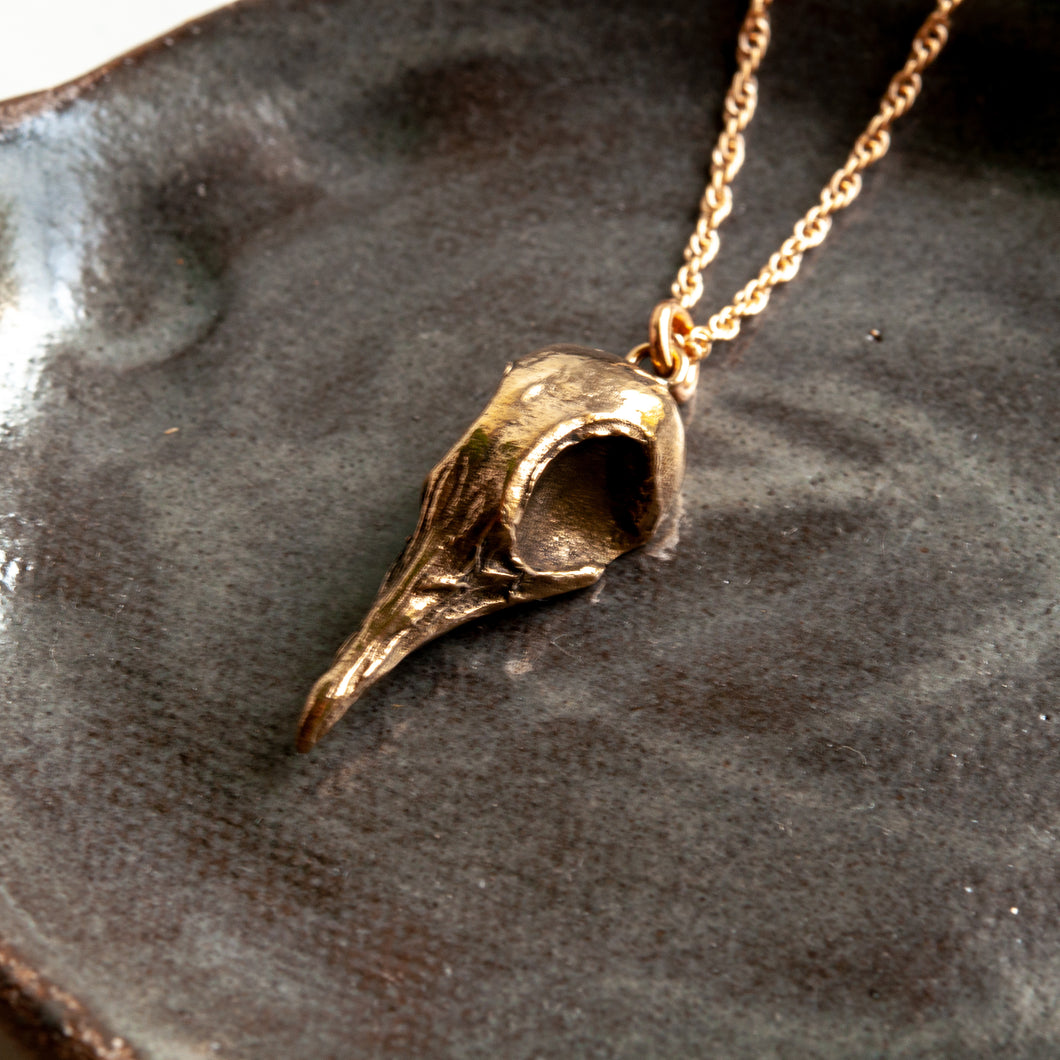 Greater Coucal Skull Necklace