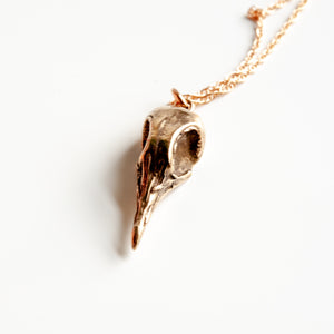 Greater Coucal Skull Necklace