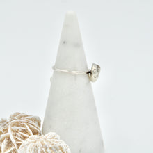 Load image into Gallery viewer, Nautilus Ring
