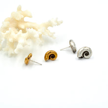 Load image into Gallery viewer, Nautilus Studs
