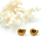 Load image into Gallery viewer, Nautilus Studs

