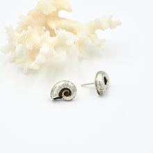 Load image into Gallery viewer, Nautilus Studs
