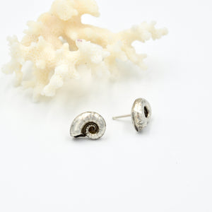Nautilus Studs