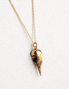 Greater Coucal Skull Necklace