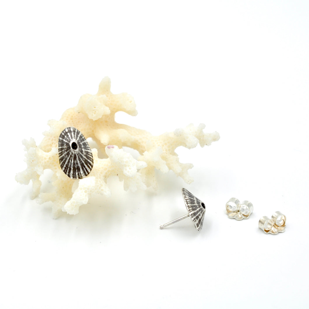 Shell Stud Earrings