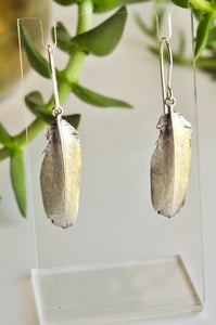 Tiny Feather Earrings