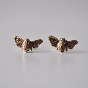 Honey Bee Studs