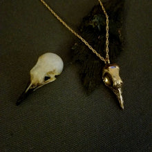 Load image into Gallery viewer, Greater Coucal Skull Necklace
