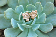 Load image into Gallery viewer, Succulent Studs
