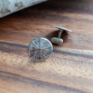 Sterling Silver Sand Dollar Cuff Links