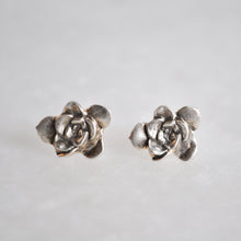 Load image into Gallery viewer, Succulent Studs
